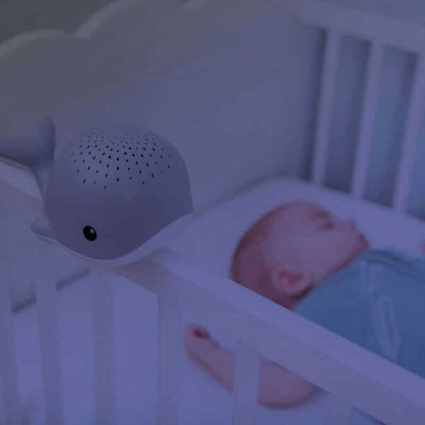 ZAZU - Wally Light Projector - Grey
