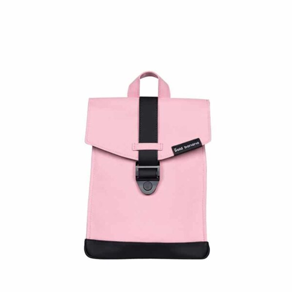 1_0005_Pink-Ink Bold Banana Envelope Mini Brick Biscuit