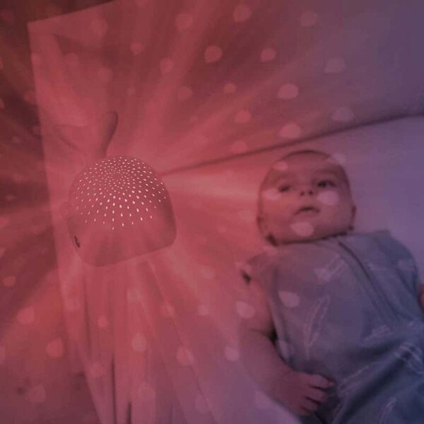 ZAZU - Wally Light Projector - Grey