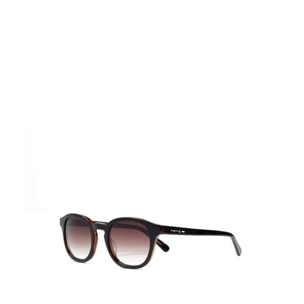 Monnq Sunglass Hailey