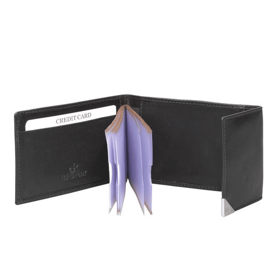 15690 dR Amsterdam Creditcard-etui Moro