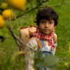 Sticky Lemon backpack small | farmhouse | envelope | pear jam