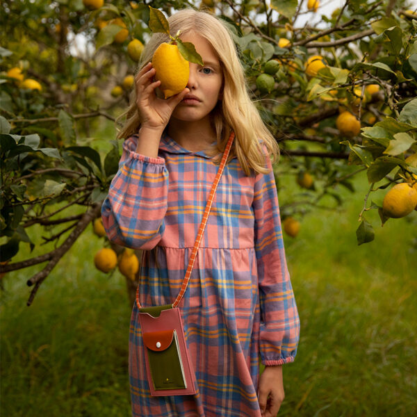 Sticky Lemon phone pouch XL | farmhouse | pear jam